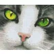 Pixelhobby  806142 Cica szett 6 alaplapos (30,5x25,4 cm))