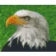 Pixelhobby  806143 Sas szett 6 alaplapos  (30,5x25,4 cm)