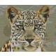 Pixelhobby  806144 Jaguár szett 6 alaplapos  (30,5x25,4 cm)