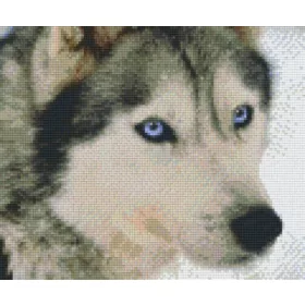 Pixelhobby  806145 Farkas szett 6 alaplapos  (30,5x25,4 cm)