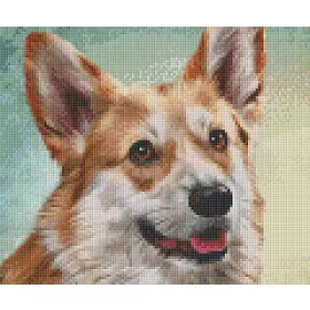 Pixelhobby  806148 Corgie szett 6 alaplapos  (30,5x25,4 cm)