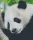 Pixelhobby  806150 Panda szett 6 alaplapos  (25,4x30,5 cm)