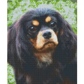   Pixelhobby  806151 Fekete Spániel szett 6 alaplapos  (25,4x30,5 cm)