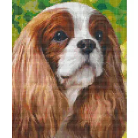   Pixelhobby  806152 Spániel szett 6 alaplapos  (25,4x30,5 cm)