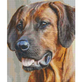 Pixelhobby  806153 Kutya szett 6 alaplapos  (25,4x30,5 cm)