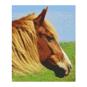 Pixelhobby  806154 Ló szett 6 alaplapos  (25,4x30,5 cm)
