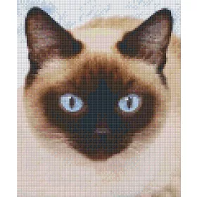  Pixelhobby  806155 Sziámi macska szett 6 alaplapos  (25,4x30,5 cm)