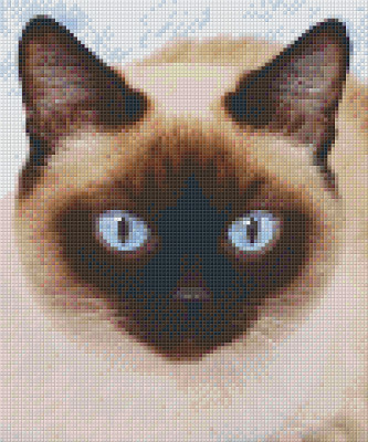Pixelhobby  806155 Sziámi macska szett 6 alaplapos  (25,4x30,5 cm)