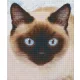 Pixelhobby  806155 Sziámi macska szett 6 alaplapos  (25,4x30,5 cm)
