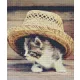 Pixelhobby  806156 Kis cica kalapban szett 6 alaplapos  (25,4x30,5 cm)