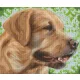 Pixelhobby  806157 Kutya szett 6 alaplapos  (30,5x25,4 cm)