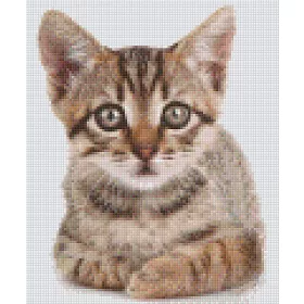   Pixelhobby  806158 Kis cica szett 6 alaplapos  (25,4x30,5 cm)