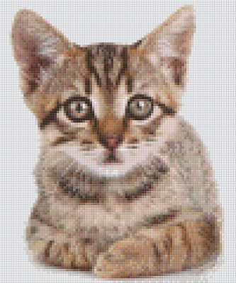 Pixelhobby  806158 Kis cica szett 6 alaplapos  (25,4x30,5 cm)