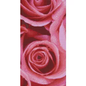 Pixelhobby  806159 Rózsa szett 6 alaplapos  (20,3x38,1 cm)