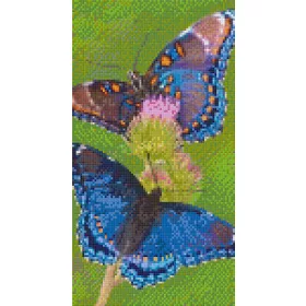   Pixelhobby  806160 Pillangók szett 6 alaplapos  (20,3x38,1 cm)
