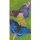 Pixelhobby  806160 Pillangók szett 6 alaplapos  (20,3x38,1 cm)