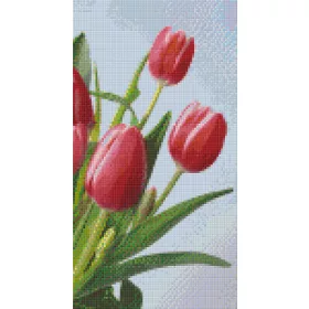   Pixelhobby  806163 Tulipánok szett 6 alaplapos  (20,3x38,1 cm)