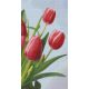Pixelhobby  806163 Tulipánok szett 6 alaplapos  (20,3x38,1 cm)