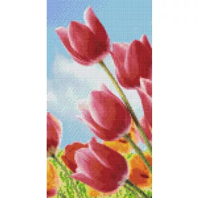   Pixelhobby  806168 Tulipán mező szett 6 alaplapos  (20,3x38,1cm)