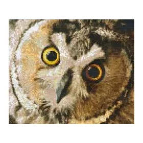 Pixelhobby  806170 Bagoly szett 6 alaplapos  (30,5x25,4 cm)