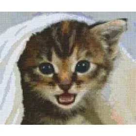   Pixelhobby  806172 Cica takaróban szett 6 alaplapos  (30,5x25,4 cm)