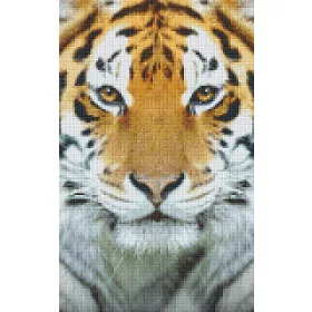 Pixelhobby  808078 Tigris szett 8 alaplapos  (25,4x40,6 cm)