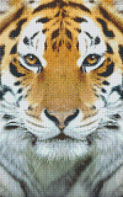 Pixelhobby  808078 Tigris szett 8 alaplapos  (25,4x40,6 cm)