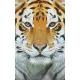 Pixelhobby  808078 Tigris szett 8 alaplapos  (25,4x40,6 cm)