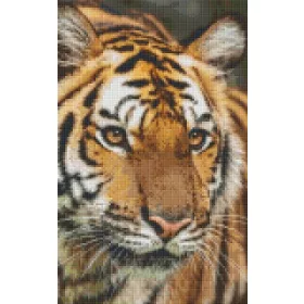 Pixelhobby  808079 Tigris szett 8 alaplapos  (25,4x40,6 cm)