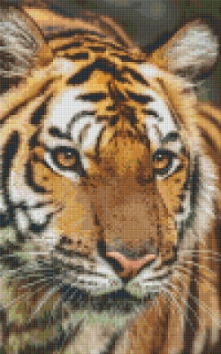 Pixelhobby  808079 Tigris szett 8 alaplapos  (25,4x40,6 cm)