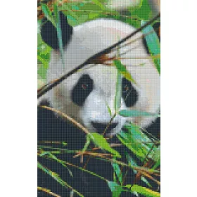 Pixelhobby  808080 Panda szett 8 alaplapos  (25,4x40,6 cm)