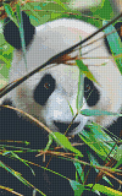 Pixelhobby  808080 Panda szett 8 alaplapos  (25,4x40,6 cm)