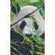 Pixelhobby  808080 Panda szett 8 alaplapos  (25,4x40,6 cm)