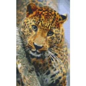Pixelhobby  808081 Párduc szett 8 alaplapos  (25,4x40,6 cm)