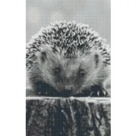   Pixelhobby  808083 Fekete fehér süni szett 8 alaplapos  (25,4x40,6 cm)