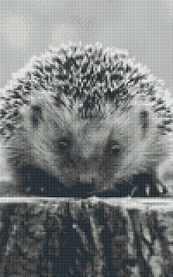 Pixelhobby  808083 Fekete fehér süni szett 8 alaplapos  (25,4x40,6 cm)