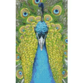 Pixelhobby  808085 Páva szett 8 alaplapos  (25,4x40,6 cm)