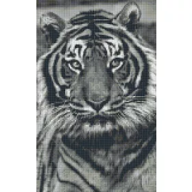   Pixelhobby  808086 Fekete fehér tigris szett 8 alaplapos  (25,4x40,6 cm)