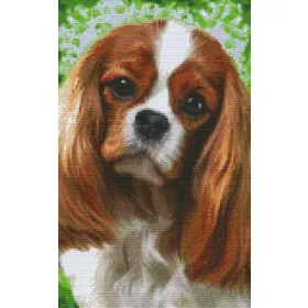  Pixelhobby  808088 Spániel szett 8 alaplapos  (25,4x40,6 cm)