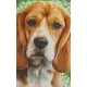Pixelhobby  808089 Beagle szett 8 alaplapos  (25,4x40,6 cm)