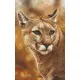 Pixelhobby  808091 Puma szett 8 alaplapos  (25,4x40,6 cm)