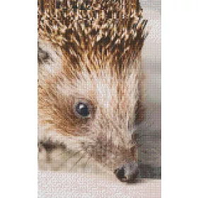 Pixelhobby  808092 Sünike szett 8 alaplapos  (25,4x40,6 cm)