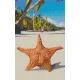 Pixelhobby  808104 Tengeri csillag (25,4x40,6cm) 8 alaplapos szett
