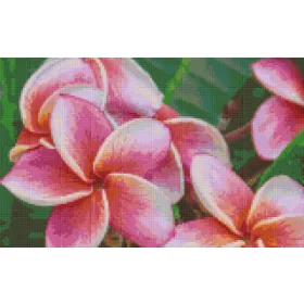 Pixelhobby  808108 Virág (40,6cmx25,4cm) 8 alaplapos szett