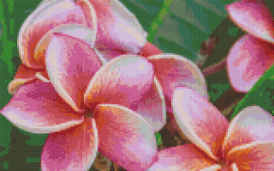 Pixelhobby  808108 Virág (40,6cmx25,4cm) 8 alaplapos szett
