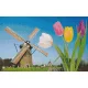 Pixelhobby  808112 Tulipánok malommal (40,6cmx25,4cm) 8 alaplapos szett