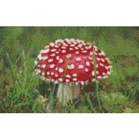 Pixelhobby  808113 Gomba (40,6cmx25,4cm) 8 alaplapos szett