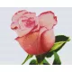 Pixelhobby  809361 Rózsa (38,1cmx30,5cm) 9 alaplapos szett