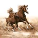 Lovas Mare with Foal szalvéta 20 db-os 33x33 cm