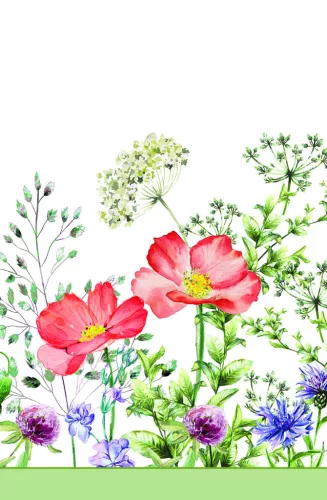 Virág Meadow in June papír asztalterítő 120x180 cm